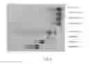 Fig. 09 - Methods for purification of messenger RNA