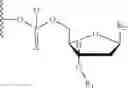 Fig. 09 - Reversibly blocked nucleoside analogues and their use