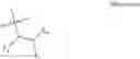 Fig. 19 - Reversibly blocked nucleoside analogues and their use