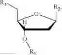 Fig. 66 - Reversibly blocked nucleoside analogues and their use