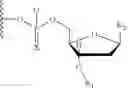 Fig. 74 - Reversibly blocked nucleoside analogues and their use