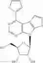 Fig. 08 - Substituted thienopyrrolopyrimidine ribonucleosides for therapeutic use