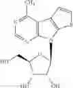 Fig. 11 - Substituted thienopyrrolopyrimidine ribonucleosides for therapeutic use