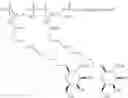 Fig. 45 - Trityl-mono-GalNAc compounds and their use