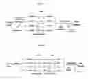 Fig. 05 - Methods and compositions for nucleoside triphosphate and ribonucleic acid production