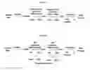 Fig. 06 - Methods and compositions for nucleoside triphosphate and ribonucleic acid production