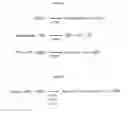 Fig. 16 - Methods and compositions for nucleoside triphosphate and ribonucleic acid production