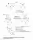 Fig. 05 - Compositions and methods for synthesizing 5′-Capped RNAs