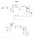 Fig. 06 - Compositions and methods for synthesizing 5′-Capped RNAs