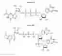 Fig. 07 - Compositions and methods for synthesizing 5′-Capped RNAs