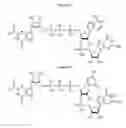 Fig. 09 - Compositions and methods for synthesizing 5′-Capped RNAs