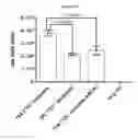 Fig. 24 - Compositions and methods for synthesizing 5′-Capped RNAs