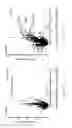 Fig. 06 - Methods of treating cancers with CT45 targeted therapies