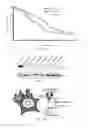 Fig. 30 - Methods of treating cancers with CT45 targeted therapies