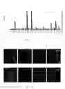 Fig. 02 - Protein for neutralizing programmed necrocytosis promotion antibody, and application of protein