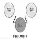 Fig. 02 - Methods for purification of single domain antigen binding molecules
