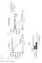 Fig. 04 - Bi-functional chimeric proteins and uses thereof