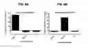 Fig. 08 - ANTI-DR5 ANTIBODIES AND METHODS OF USE THEREOF