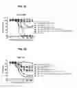 Fig. 09 - ANTI-DR5 ANTIBODIES AND METHODS OF USE THEREOF
