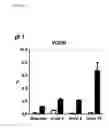Fig. 35 - Immune modulation and treatment of solid tumors with antibodies that specifically bind CD38