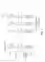 Fig. 02 - Chimeric antigen receptor with single domain antibody