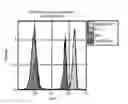 Fig. 01 - Photoactive macromolecules and uses thereof
