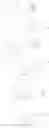 Fig. 33 - Photoactive macromolecules and uses thereof