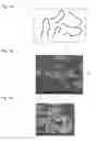 Fig. 02 - Composite resin molded article