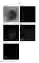 Fig. 02 - Method of producing silicon compound coated oxide particles, silicon compound coated oxide particles, and silicon compound coated oxide composition containing the same