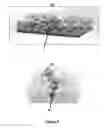 Fig. 03 - Autonomic damage indication in coatings