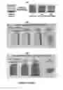 Fig. 07 - Autonomic damage indication in coatings