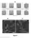 Fig. 09 - Autonomic damage indication in coatings