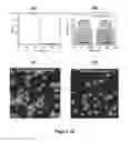 Fig. 10 - Autonomic damage indication in coatings