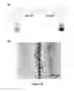 Fig. 19 - Autonomic damage indication in coatings