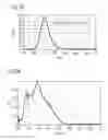 Fig. 33 - Phosphor and method for producing the phosphor
