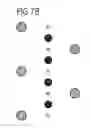 Fig. 68 - Phosphor and method for producing the phosphor