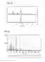 Fig. 20 - Phosphor and method for producing the phosphor