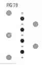 Fig. 68 - Phosphor and method for producing the phosphor