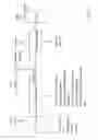 Fig. 08 - Recovery system for high pressure processing system