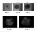 Fig. 09 - THREE-DIMENSIONAL CULTURE DEVICE AND METHODS FOR DYNAMIC CULTURE OF CELL AGGREGATES