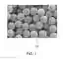 Fig. 02 - PARTICLES FOR USE IN ACOUSTIC STANDING WAVE PROCESSES
