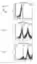 Fig. 03 - Synthetic membrane-receiver complexes