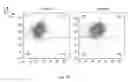 Fig. 05 - Synthetic membrane-receiver complexes
