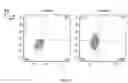 Fig. 07 - Synthetic membrane-receiver complexes