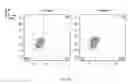 Fig. 11 - Synthetic membrane-receiver complexes