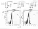 Fig. 13 - Synthetic membrane-receiver complexes