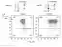 Fig. 14 - Synthetic membrane-receiver complexes