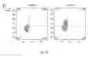 Fig. 18 - Synthetic membrane-receiver complexes