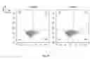 Fig. 22 - Synthetic membrane-receiver complexes
