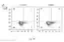 Fig. 23 - Synthetic membrane-receiver complexes